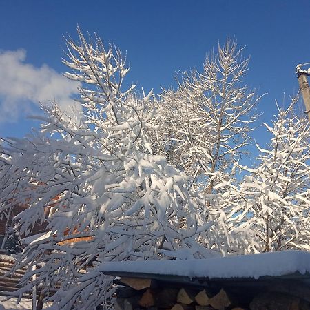 Готель У Олега Верхній Студений Екстер'єр фото